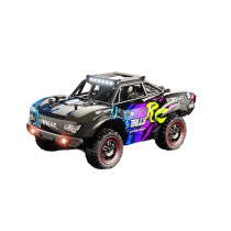 Suchiyu 18103 High Speed RC Drift Car RTR Purple