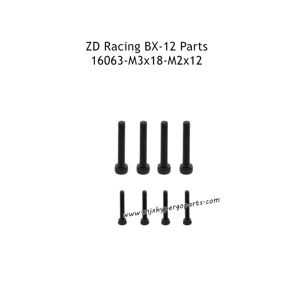 ZD Racing BX-12 Parts M3x18 M2x12 Screws 16063